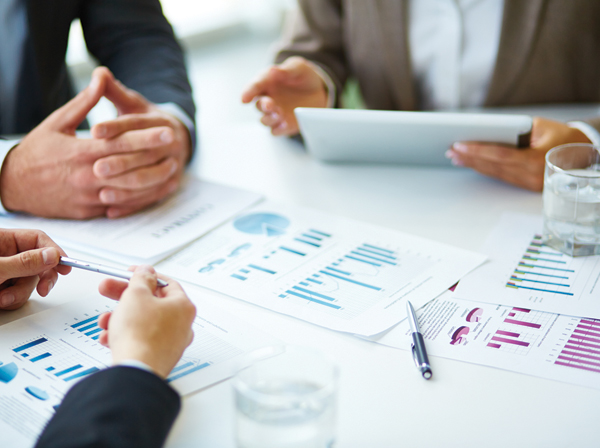 Certified Balanced Scorecard Management System Professional