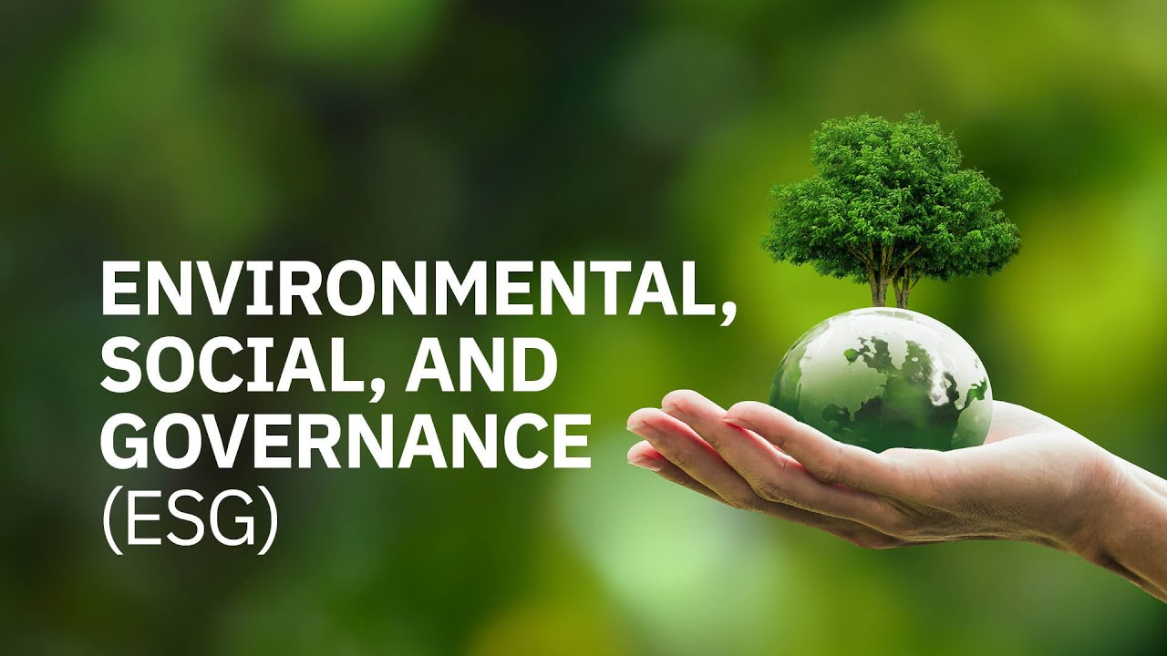 Auditing in the Oil & Gas Industry